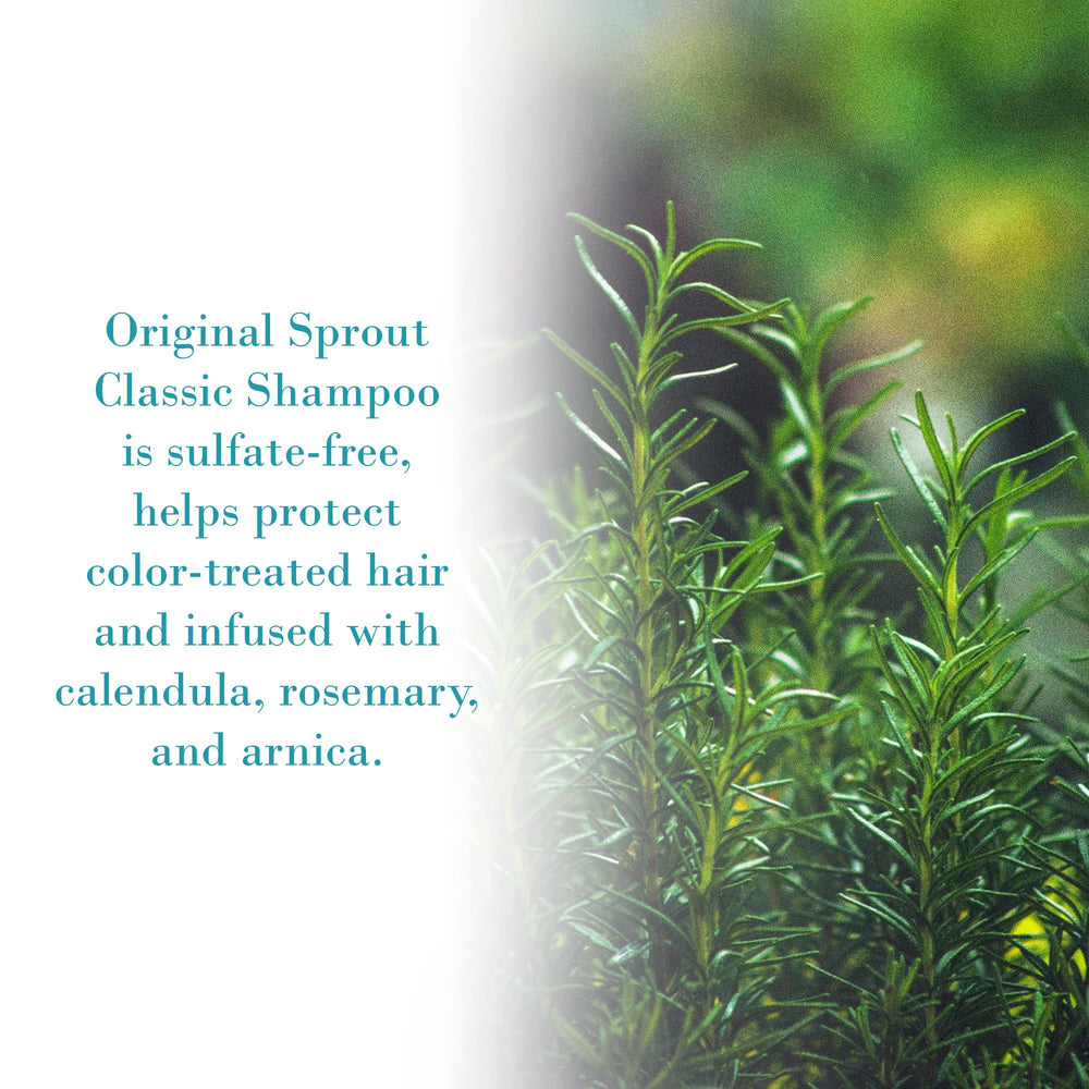 Botanical blend in Original Sprout shampoo with calendula, cucumber, arnica, rosemary for gentle cleansing.