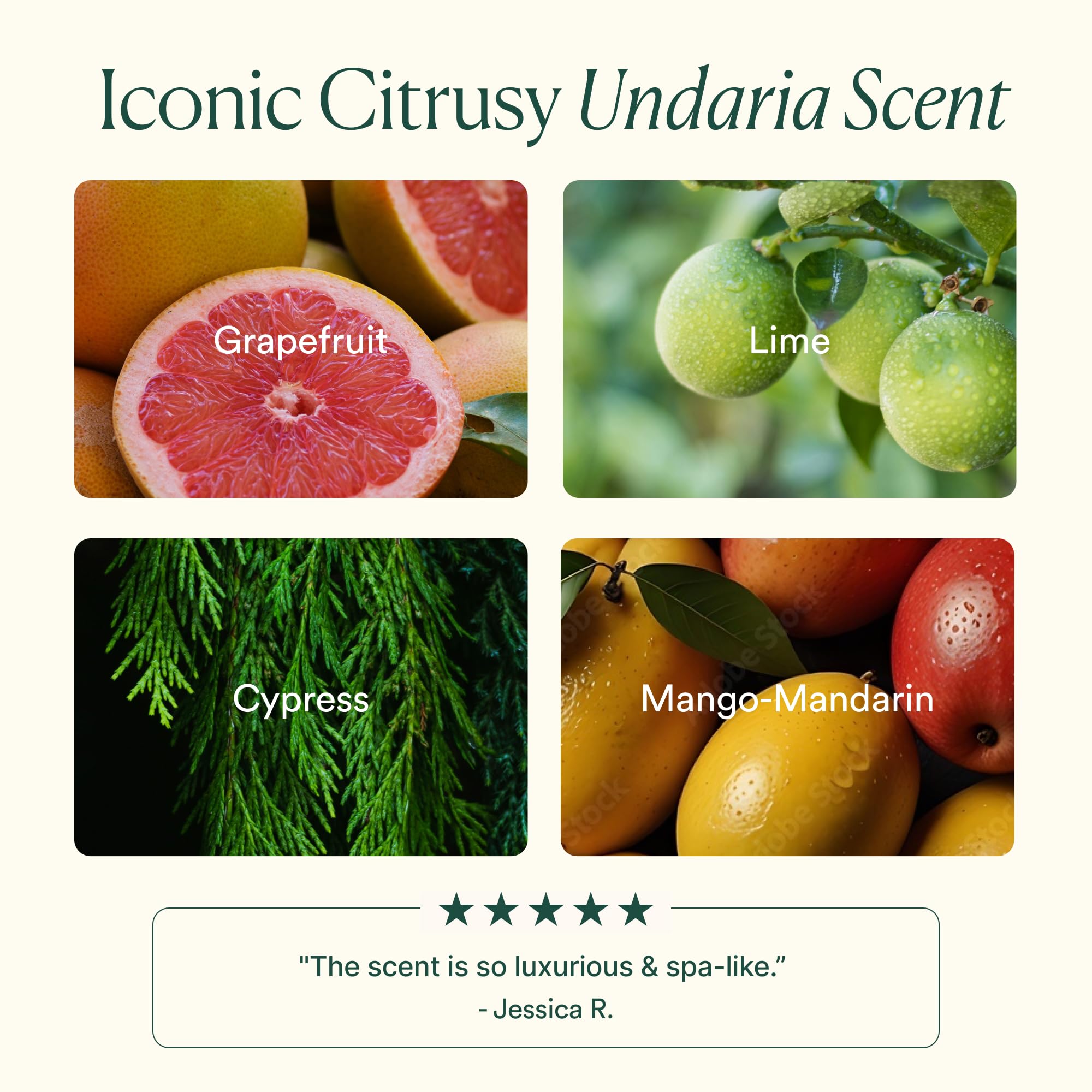 Clean packaging of OSEA Undaria Algae Body Lotion