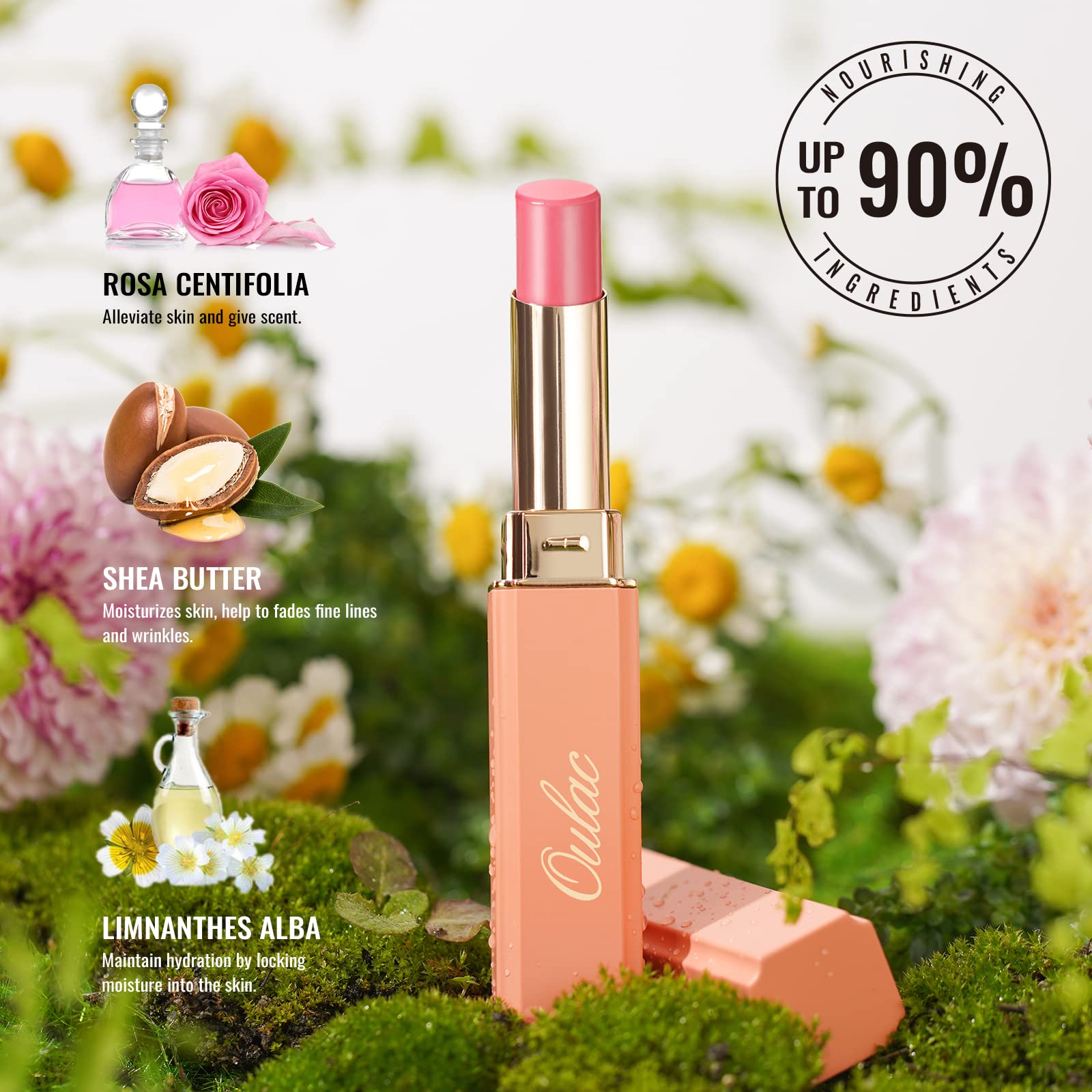 Illustration of sodium hyaluronate and vitamin E ingredients in Oulac lipstick.