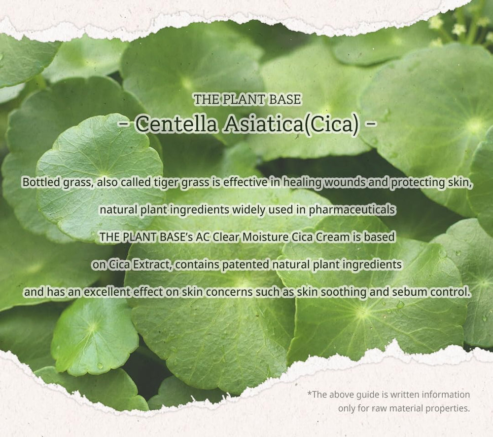 P'LAB Plant Base Cica Distillate Moisture Cream swatch demonstrates hydrating texture