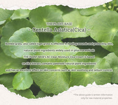 P'LAB Plant Base Cica Distillate Moisture Cream swatch demonstrates hydrating texture