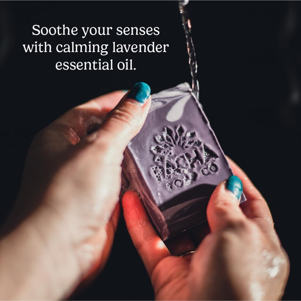 Pacha Soap Co. French Lavender bar soap in hand, emphasizing moisture and gentle cleansing.