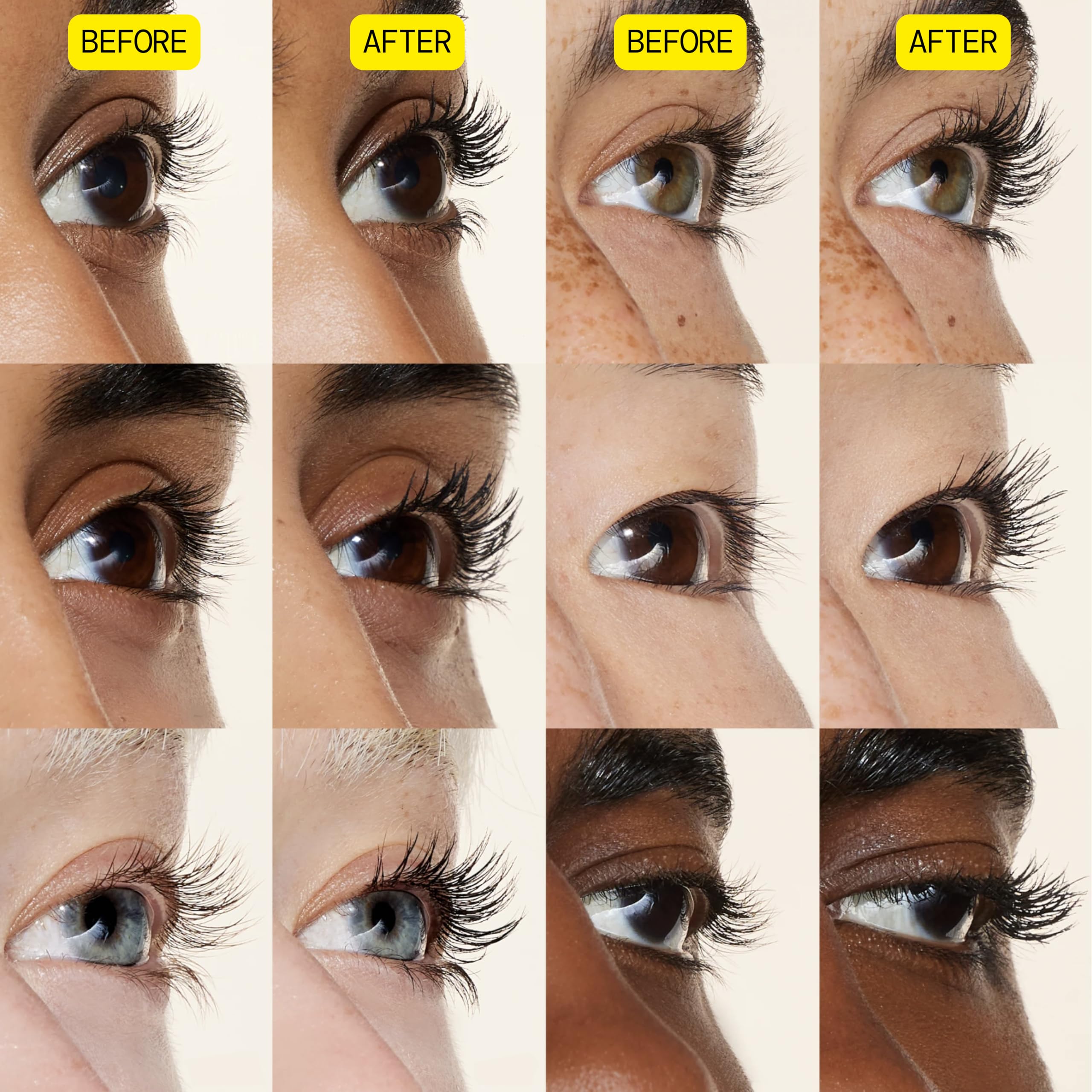 Shorea resin and gum film help hold curl on lashes.