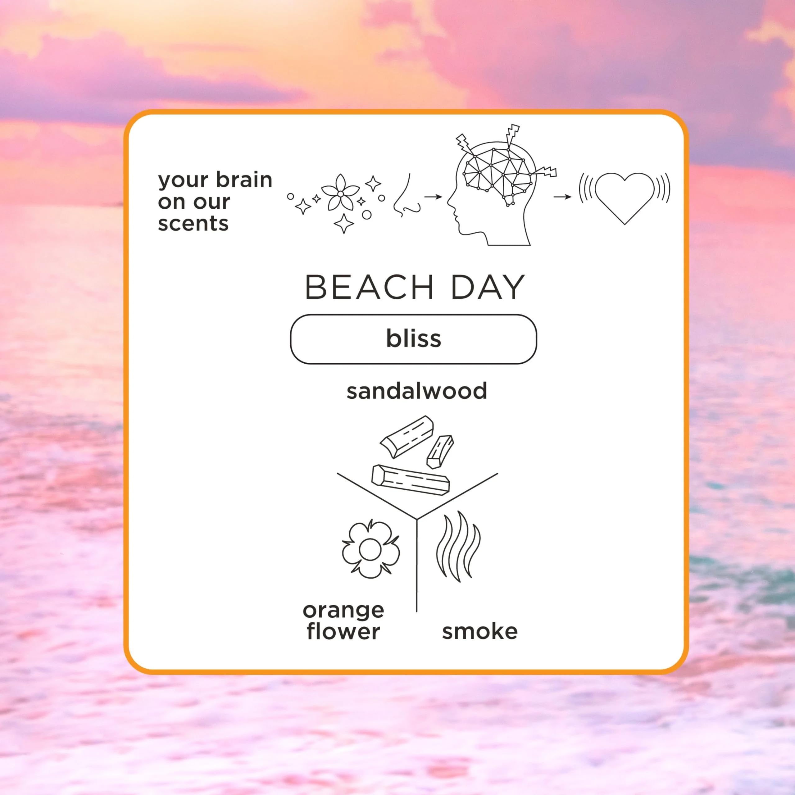 Pacifica vegan cruelty-free emblem on packaging, supporting ethical beauty choices.