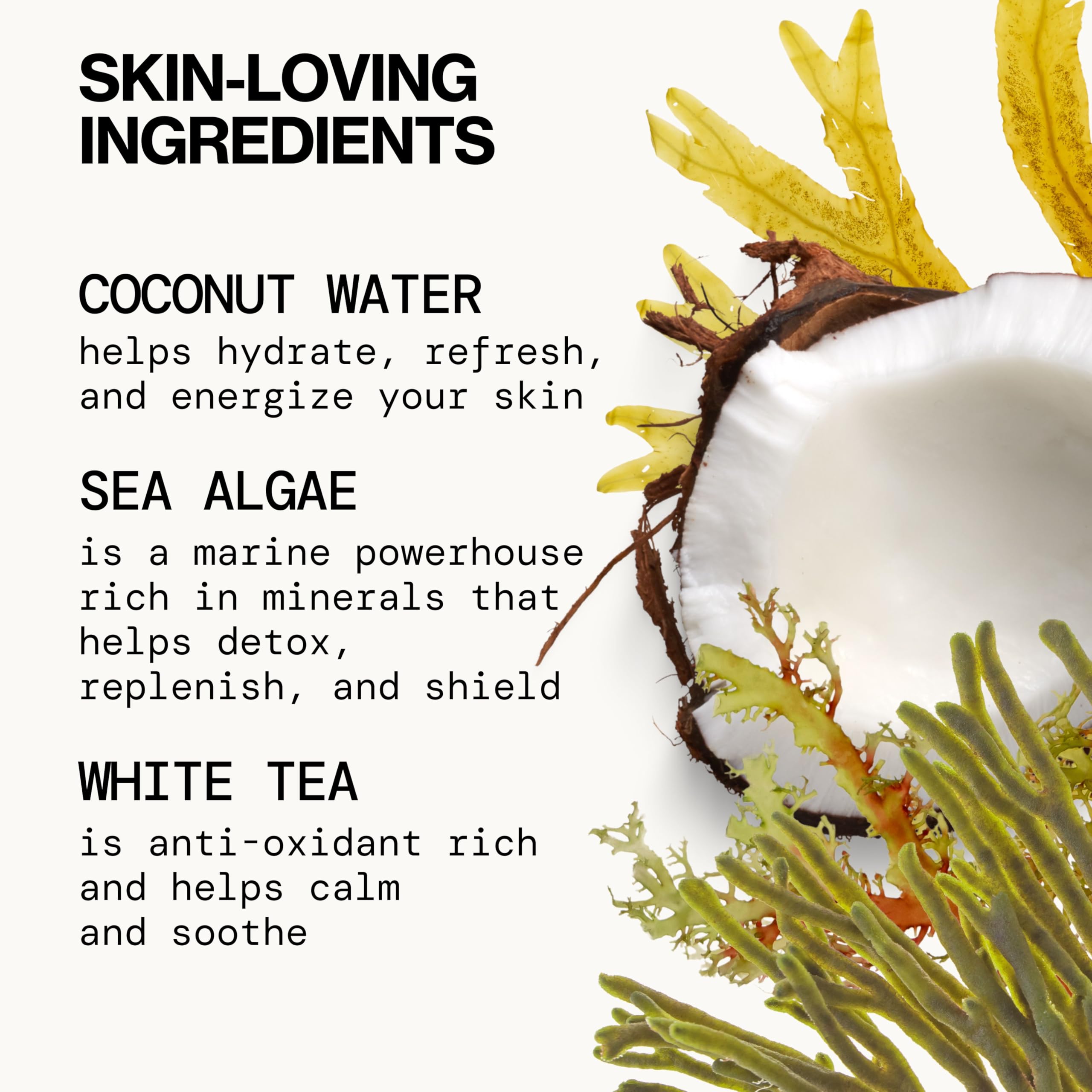Pacifica Sea Foam white tea boost signals antioxidant-rich formula for refreshed skin.