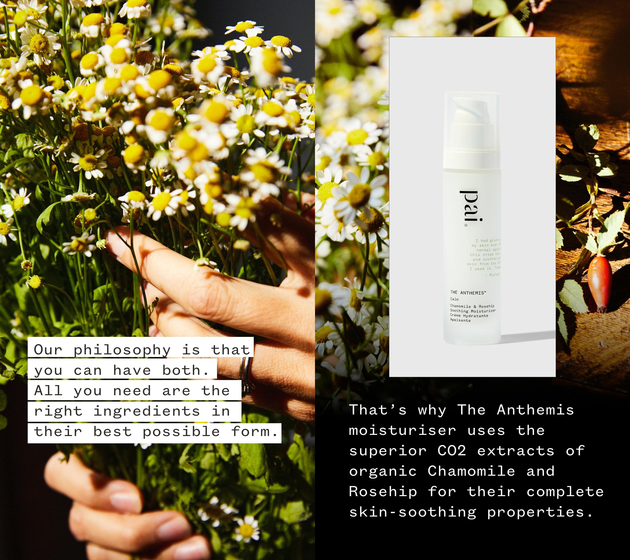 PAI SKINCARE The Anthemis rosehip berries indicating nourishing hydration