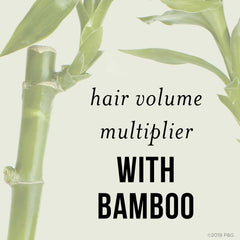 Pantene bamboo extract label featuring pro vitamin B5 and antioxidants