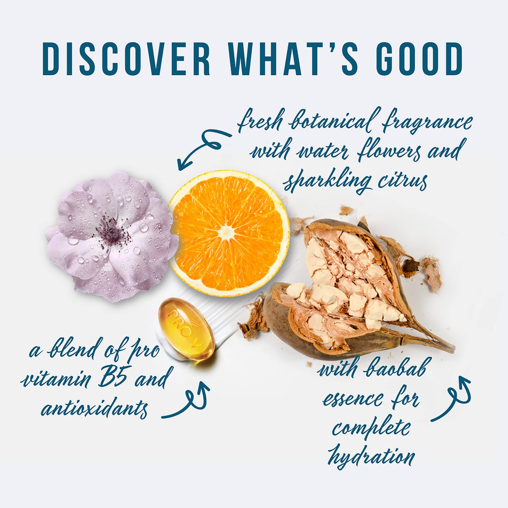 Pantene Hydrating Glow baobab essence visual highlights hydrating properties for smoother hair