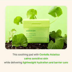  Papa Recipe Real Centella Cica Toner Pads close-up label for gentle daily care