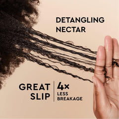 PATTERN Detangling Nectar sea moss ingredients support slip and hydration.