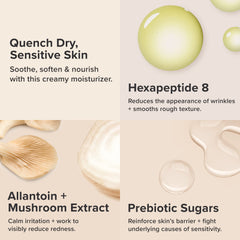 Paula's Choice CALM ingredients swatch reveals antioxidants and emollients for skin resilience