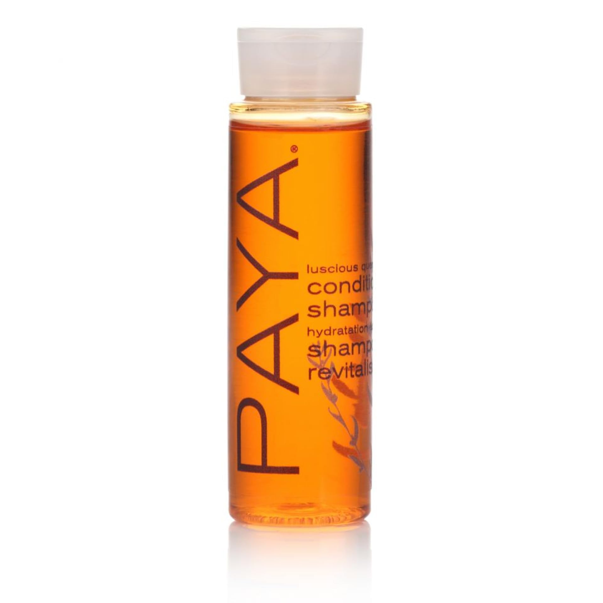 Paya Shampoo Huntington bottle pour showcases premium formula for nourished hair
