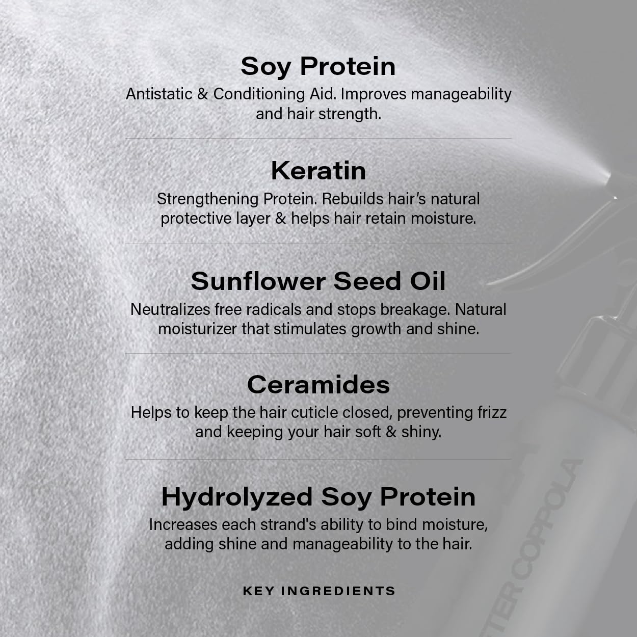 Peter Coppola Just Blow heat protection spray reduces frizz and damage.