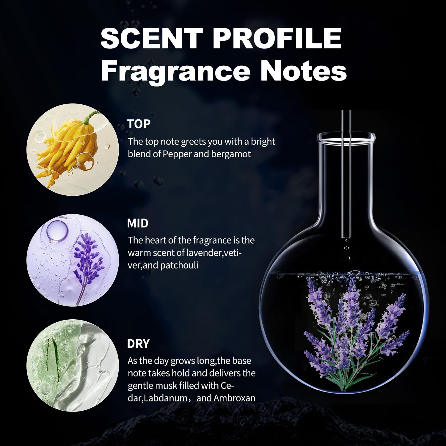 Philo_mone gift-box presentation makes this a stylish gift option.