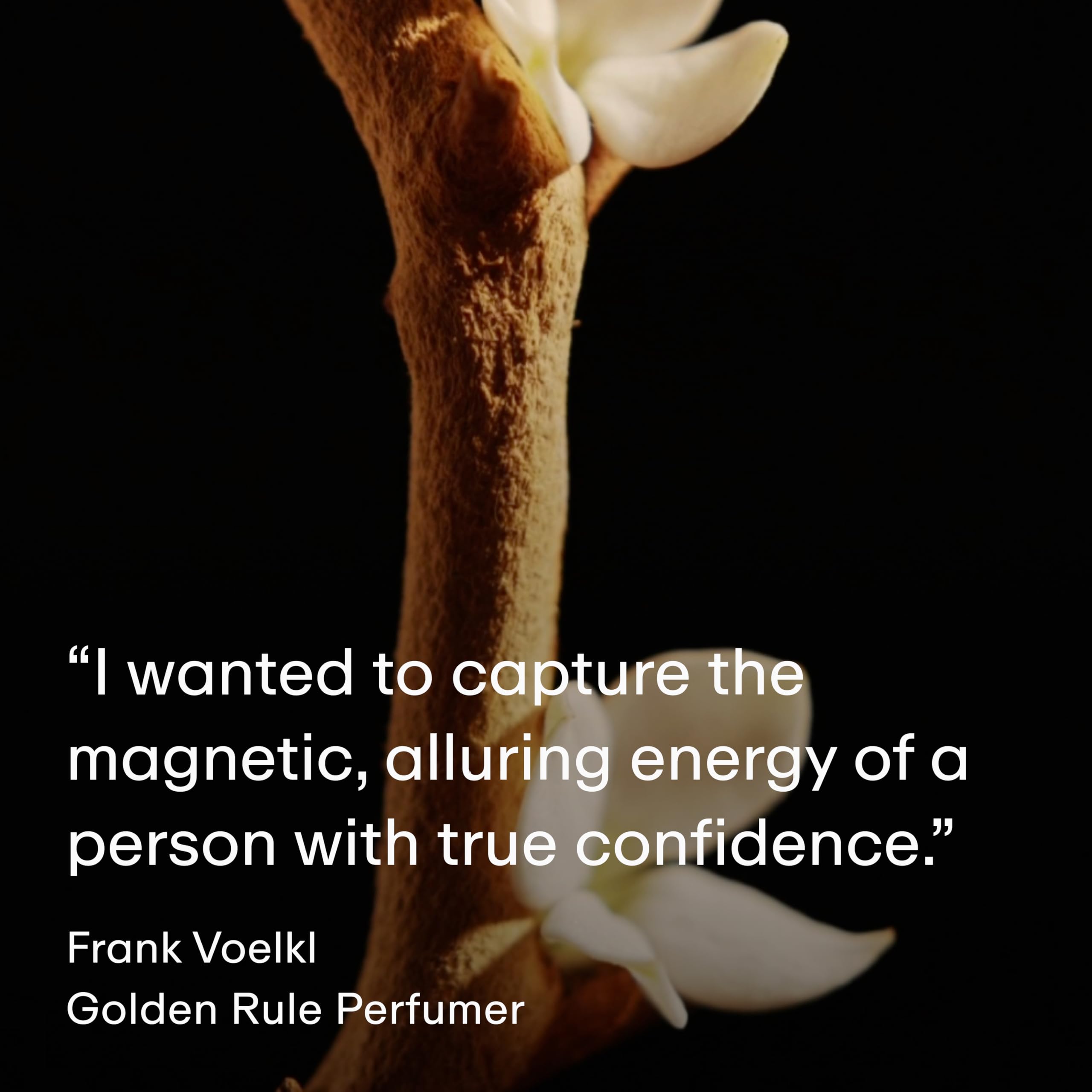 PHLUR Golden Rule ingredients transparency panel listing ingredients