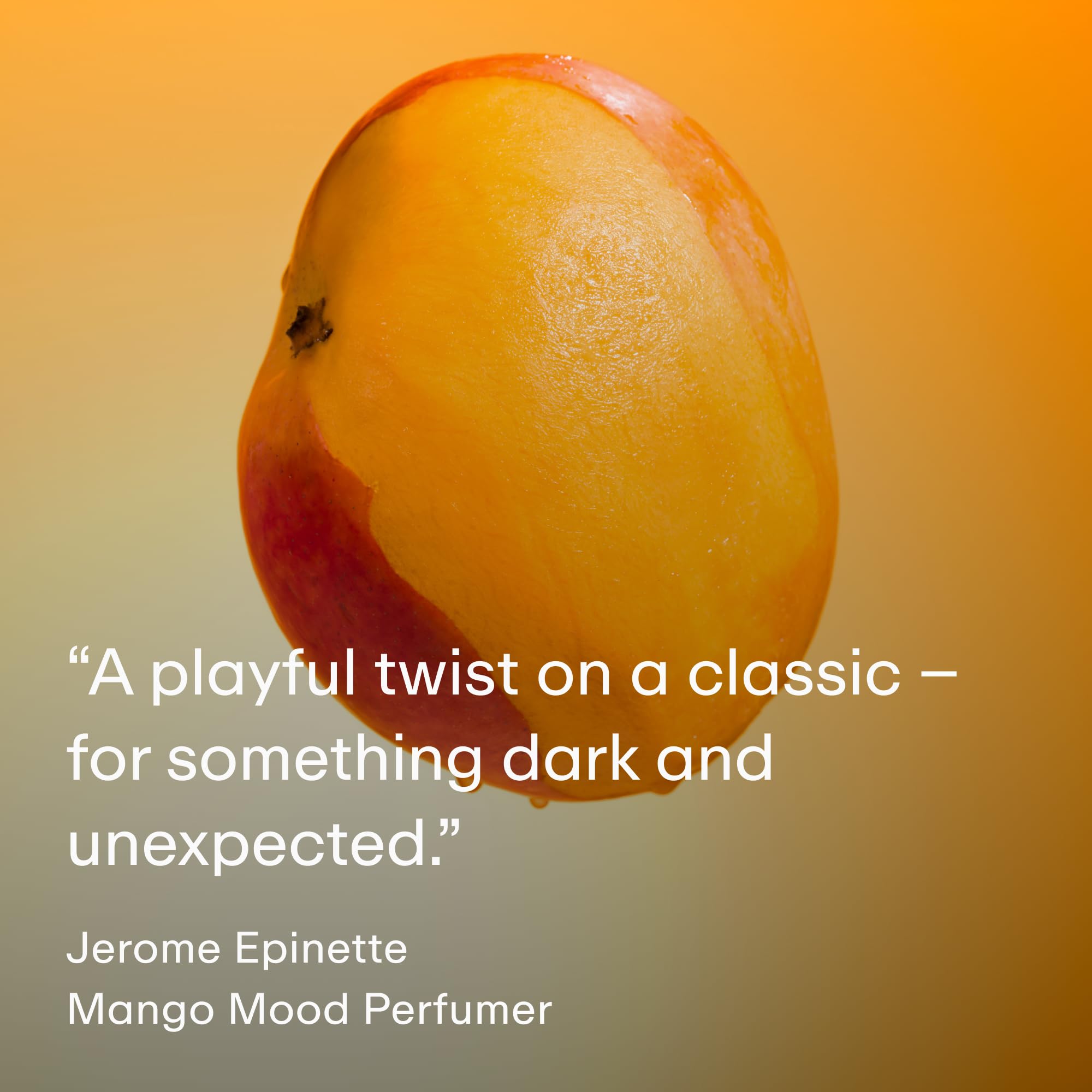 PHLUR Mango Mood base-note patchouli vanilla grounding the scent