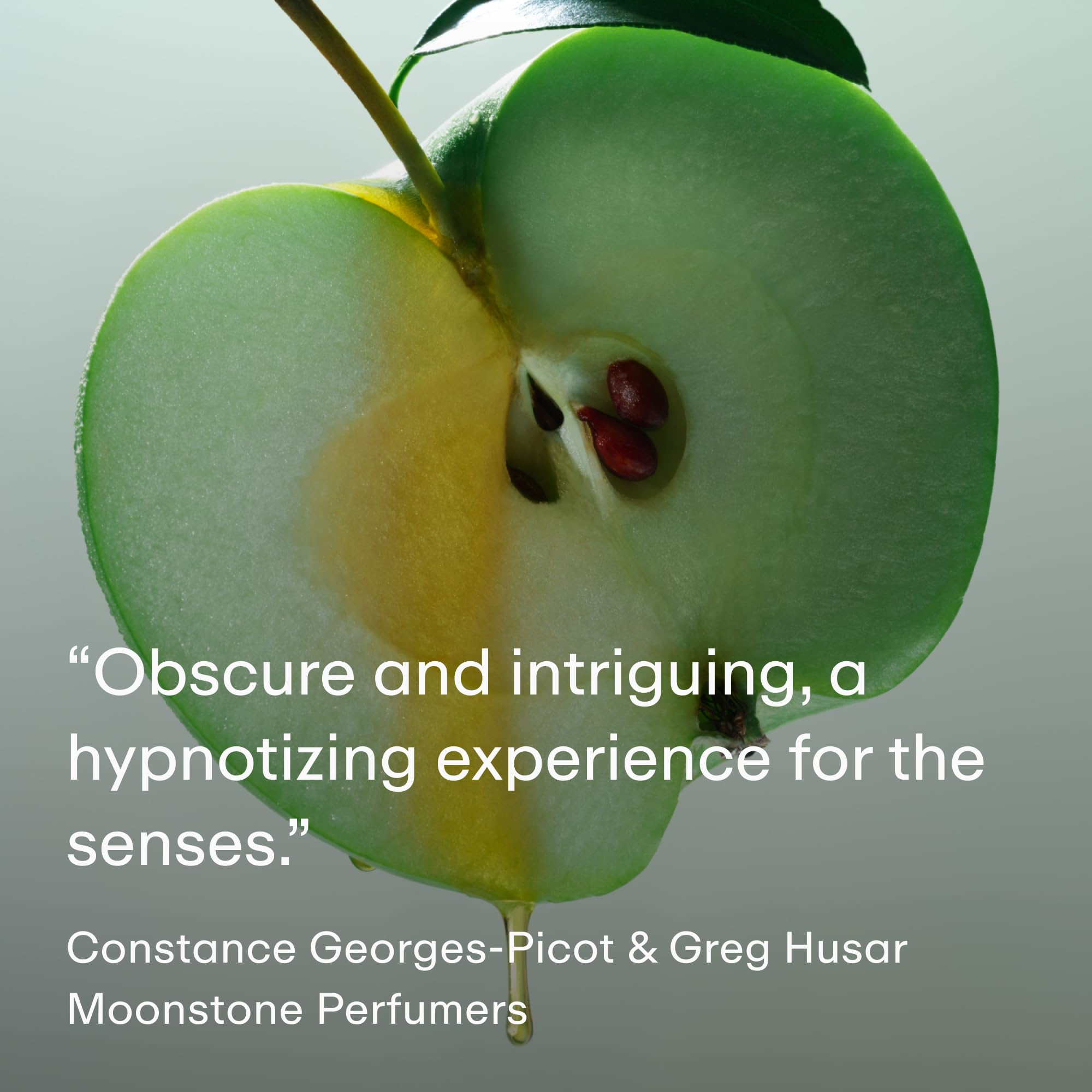 PHLUR Moonstone packaging flatlay conveys gift-worthy presentation.