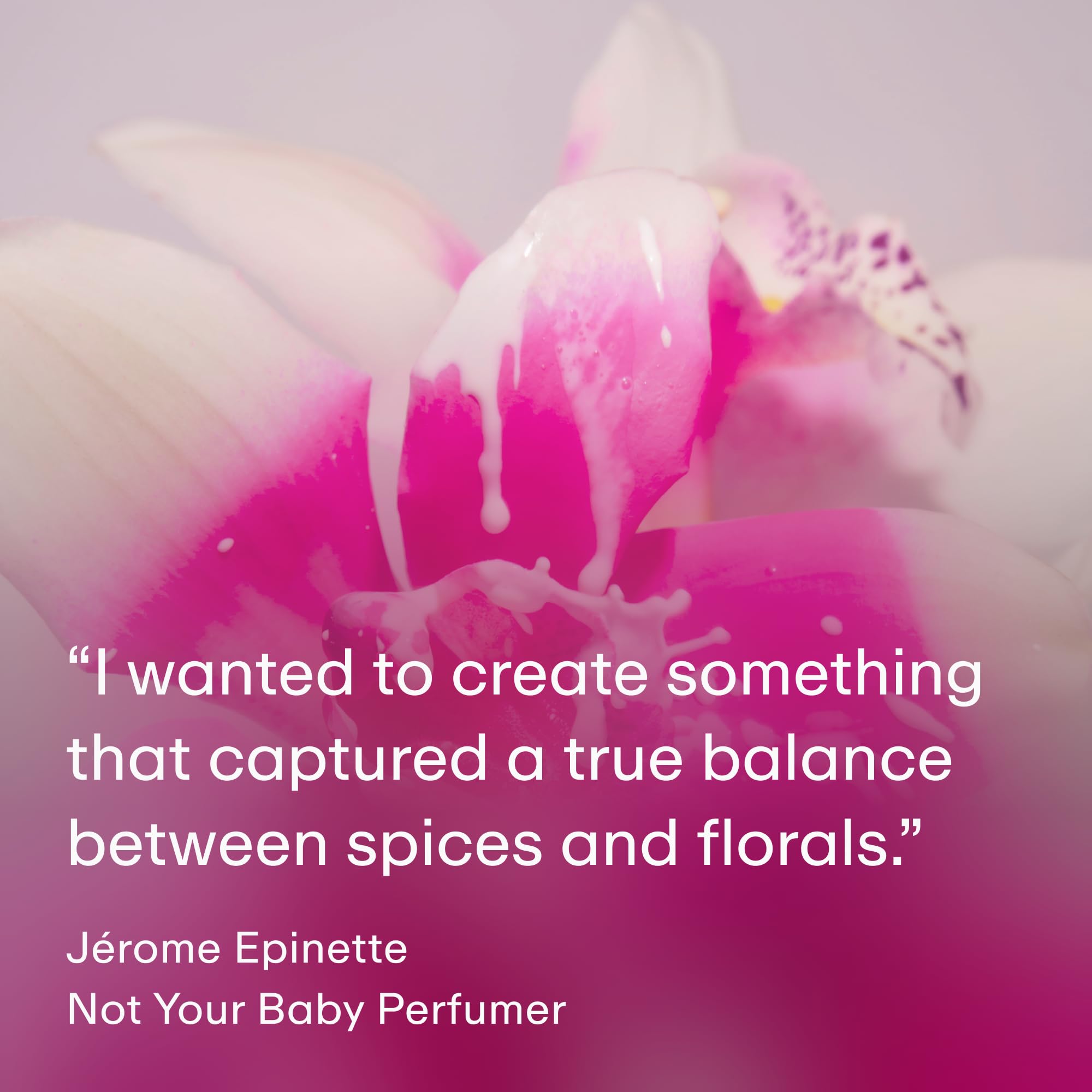 PHLUR Not Your Baby notes show cardamom and bergamot for a bright opening.
