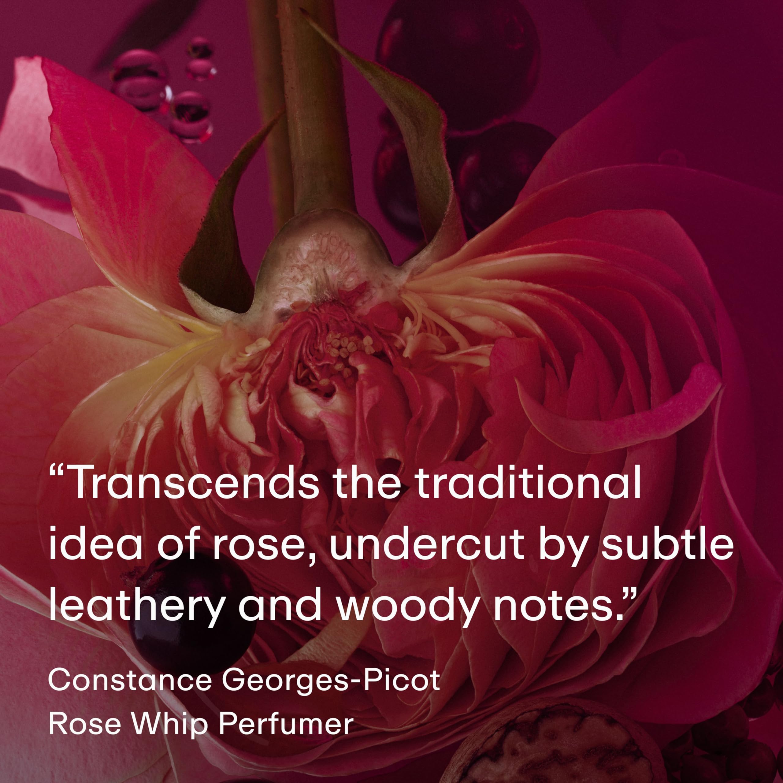 PHLUR Rose Whip osmanthus and nutmeg create a refined heart for sophisticated presence.