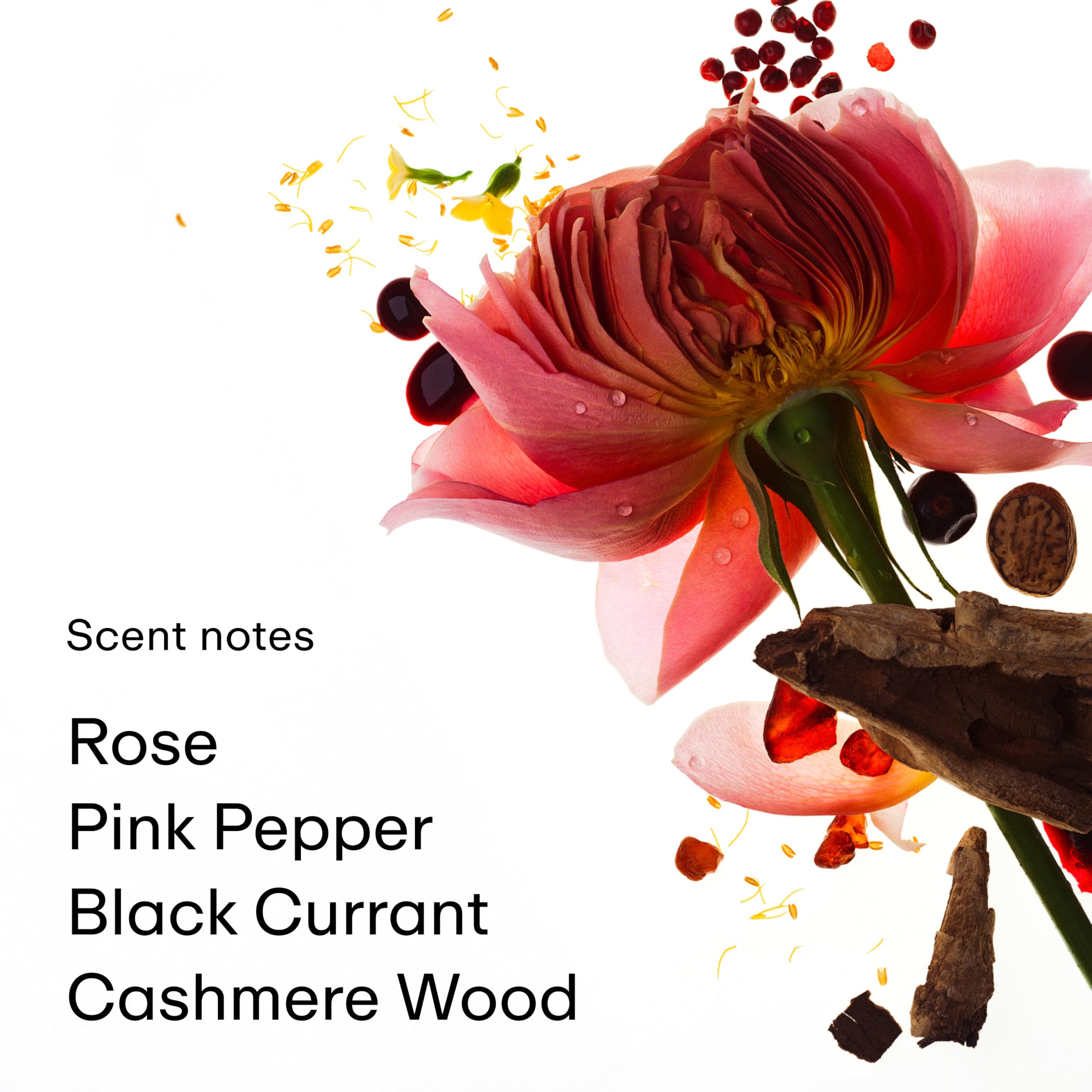 PHLUR Rose Whip pink pepper detail adds a bright, spicy spark for daytime or evening wear.