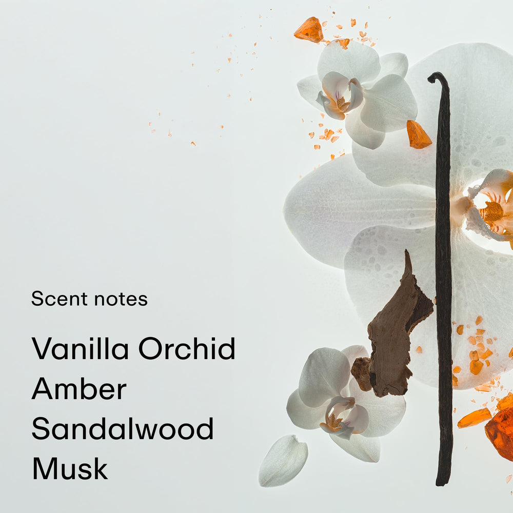 PHLUR Soft Spot amber-musk base emphasizing warm longevity.