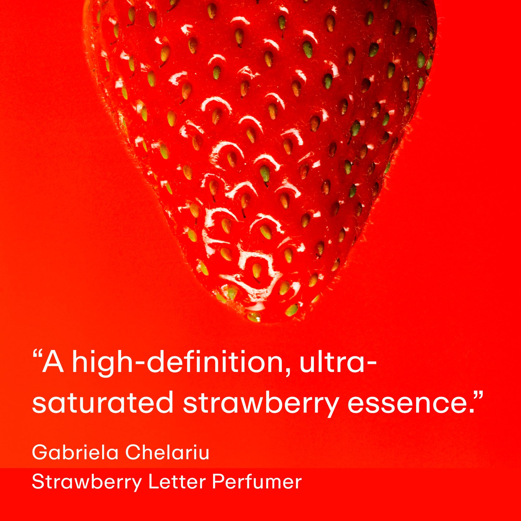 PHLUR Strawberry Letter base notes closeup reveals earthy woods and tonka warmth