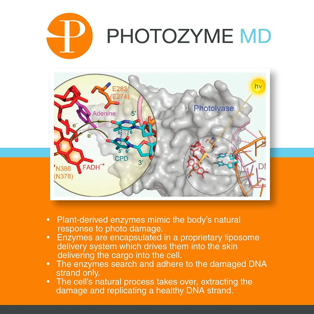 Photozyme DNA Repair Body Lotion fragrance-free label suited for sensitive routines.