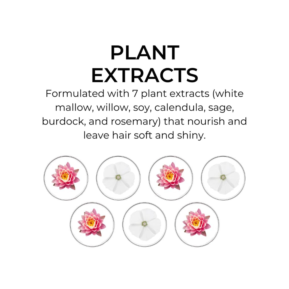 PHYTO 7 seven plant extracts illustration highlights natural nourishment for dry hair