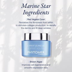 Phytomer Expert Youth Wrinkle Cream application guide for morning and night use.