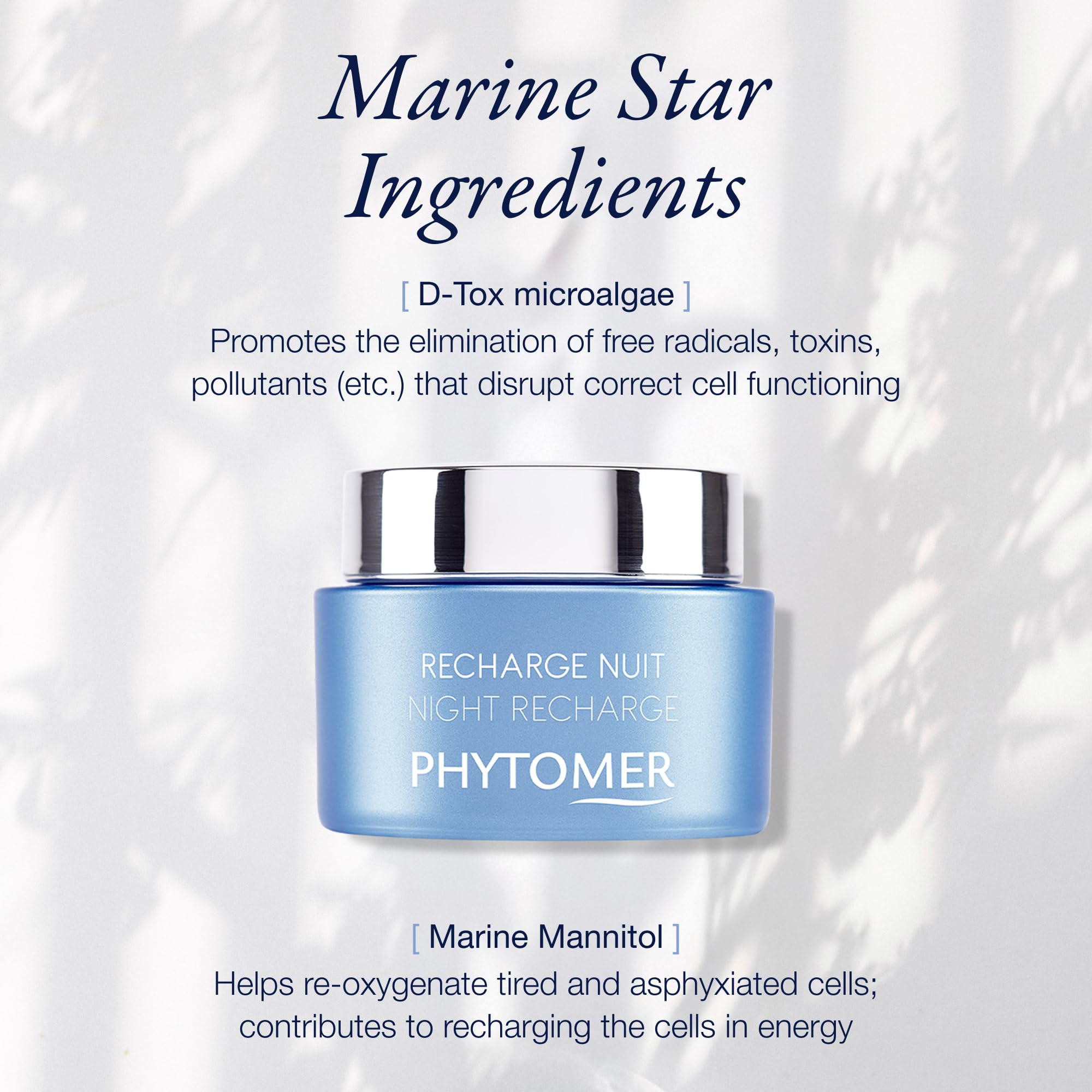PHYTOMER Night Recharge microalgae ingredient highlight