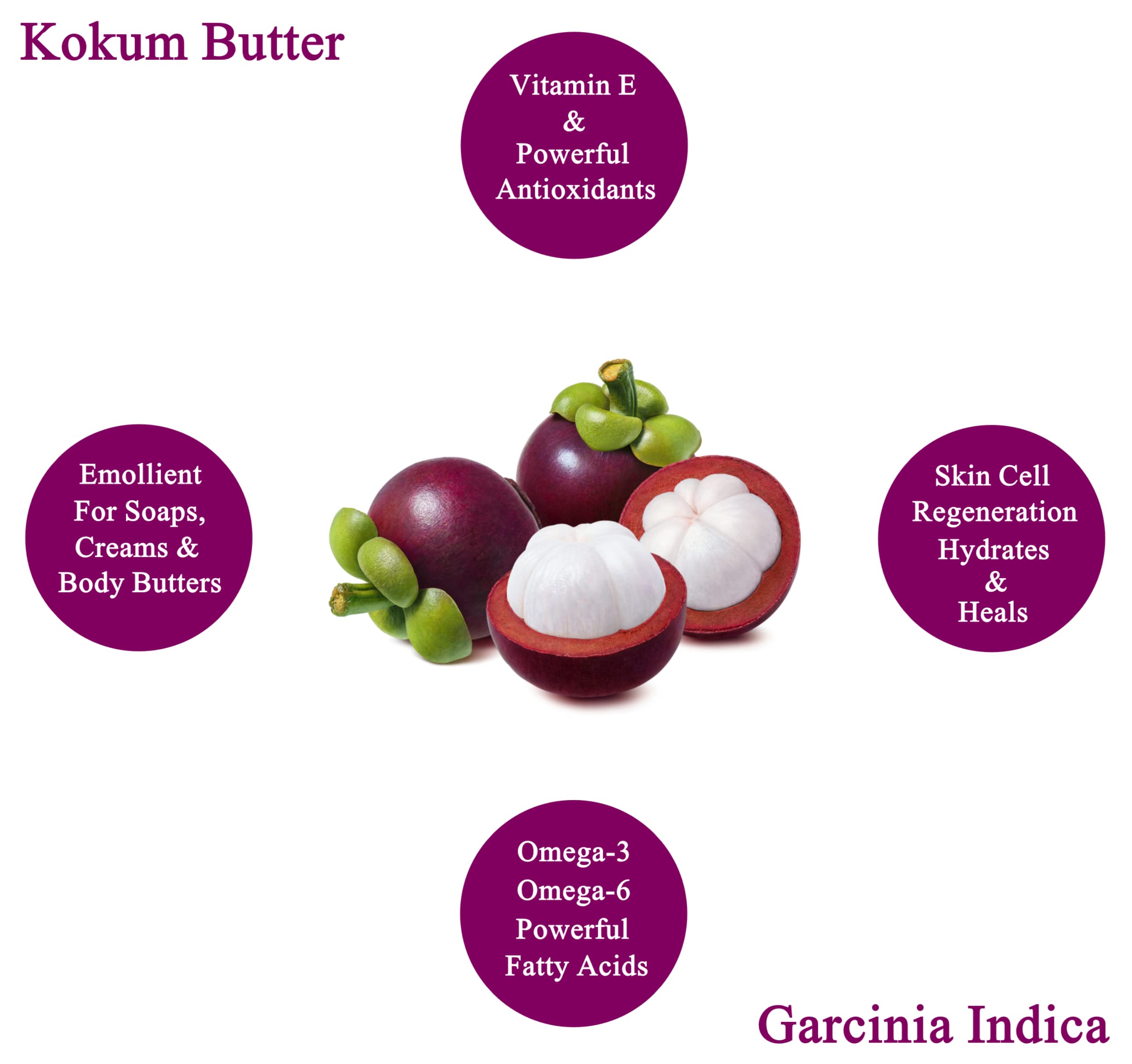 Plant Guru Kokum Butter used in DIY body butters and balms