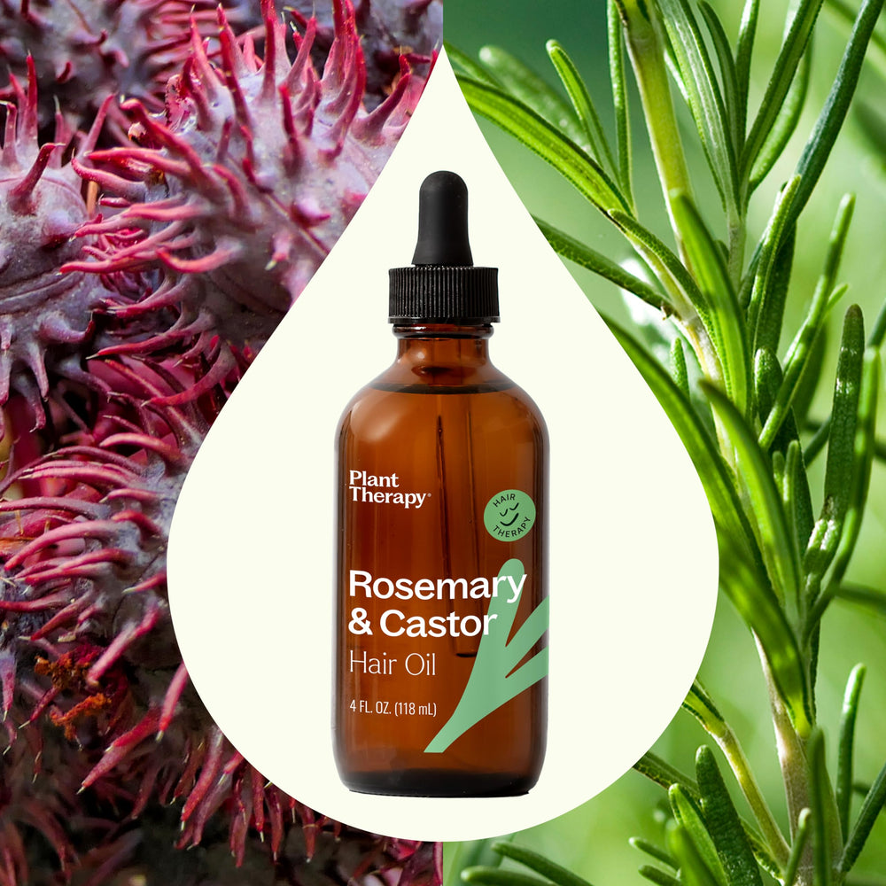 Plant Therapy Castor Oil bottle ready to fortify and strengthen hair.