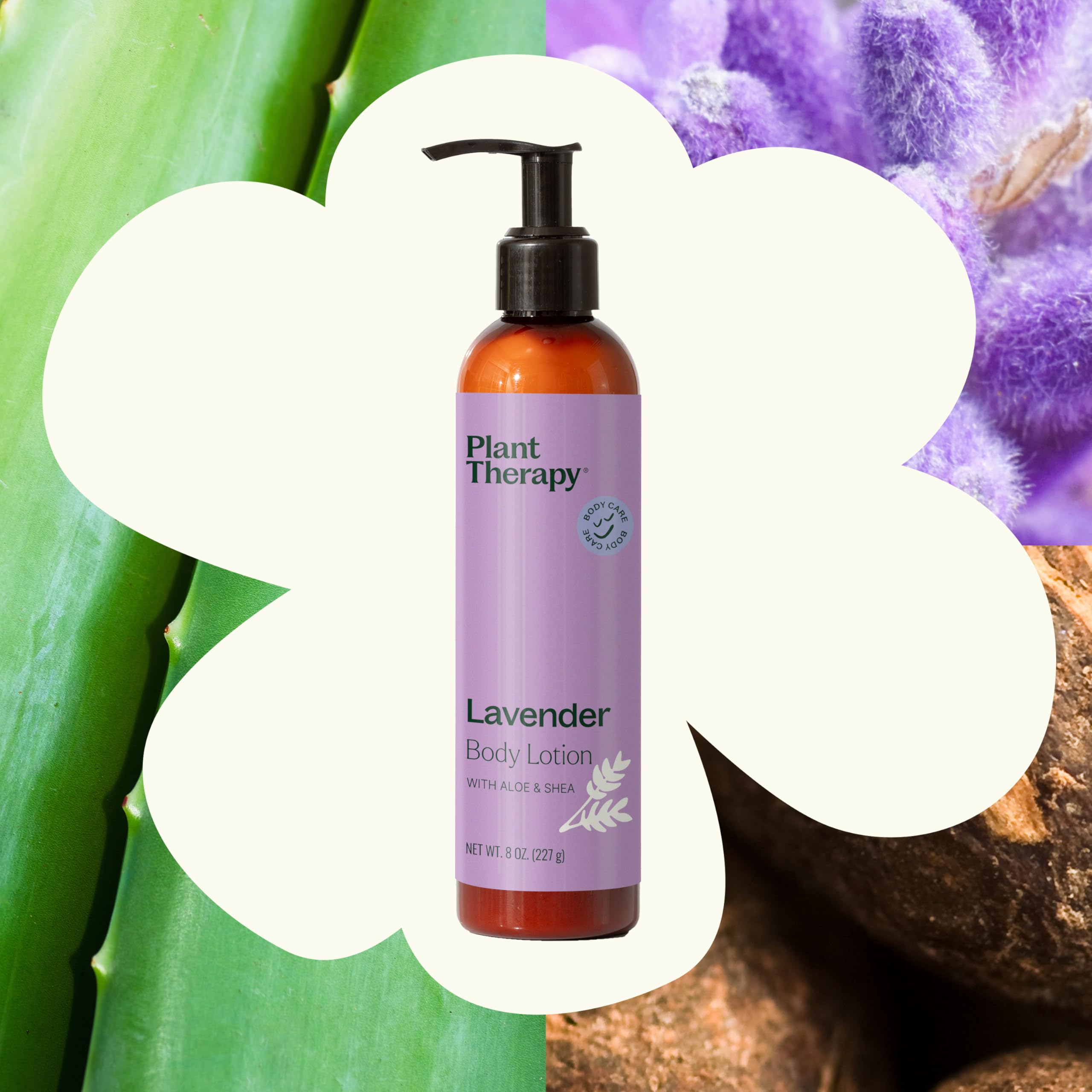 Lavender flowers hint at soothing aroma and relaxing daily routine.
