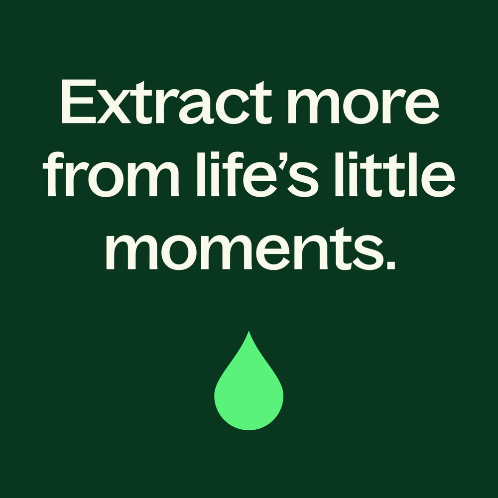 Plant Therapy serum routine image for morning and night use