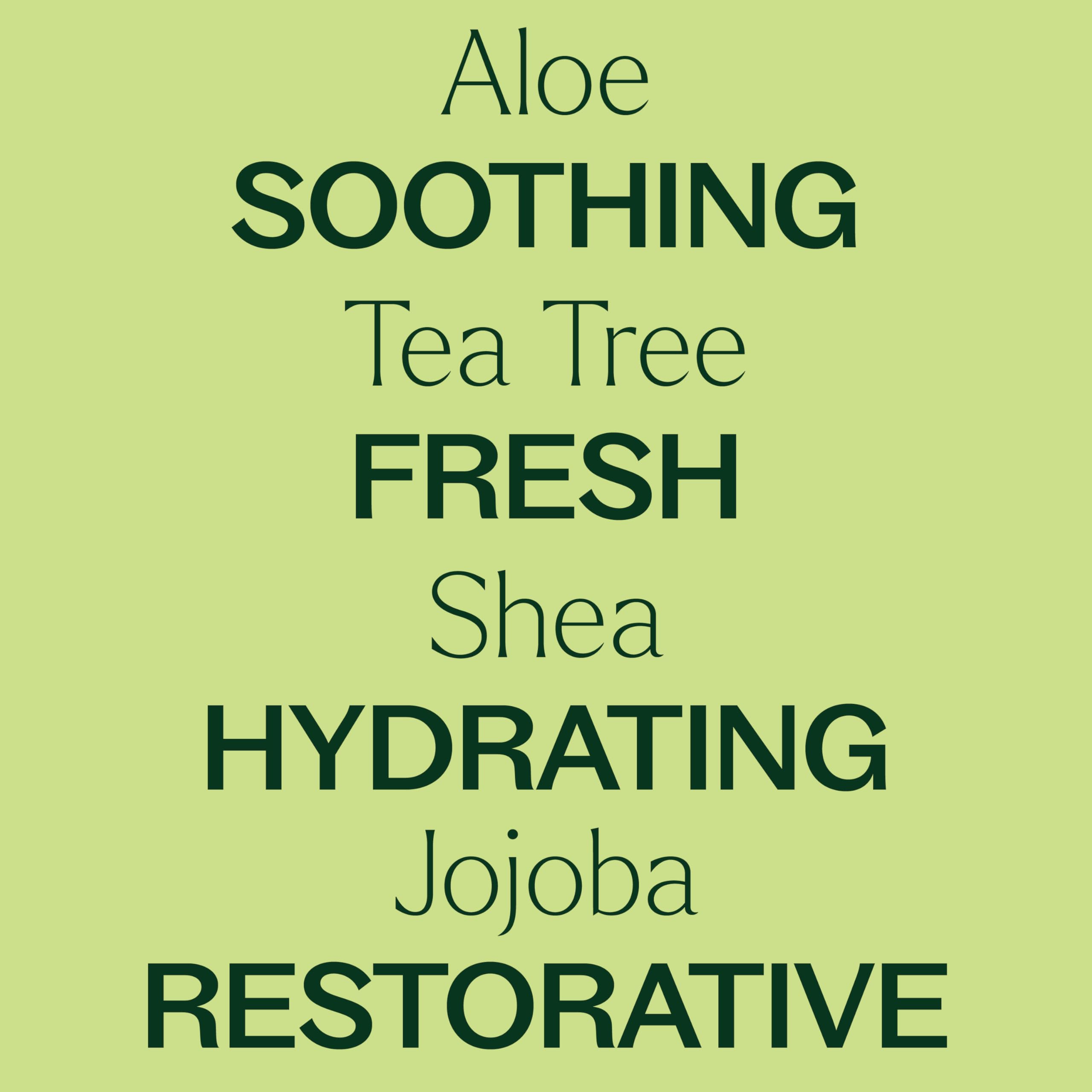 Plant Therapy Tea Tree Body Lotion ingredients aloe and shea for skin nourishment