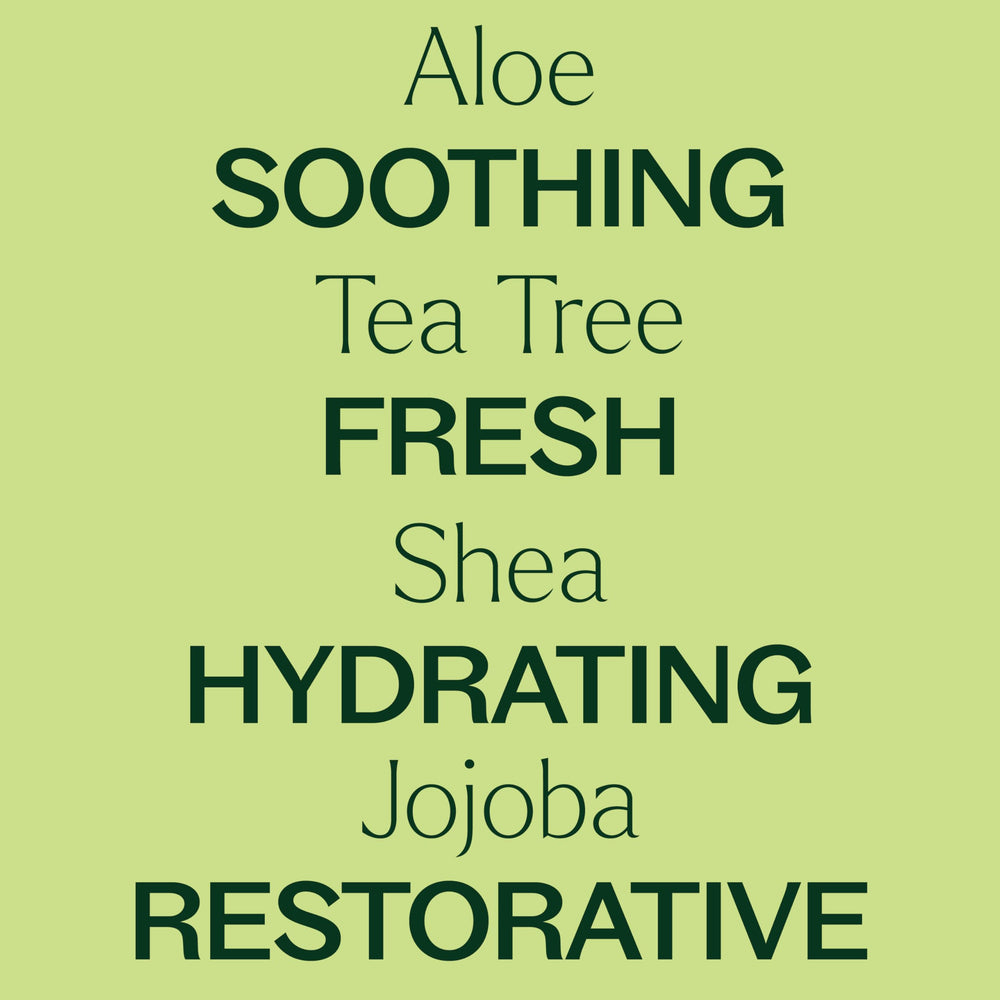 Plant Therapy Tea Tree Body Lotion ingredients aloe and shea for skin nourishment