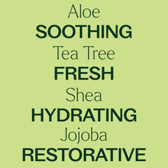 Plant Therapy Tea Tree Body Lotion ingredients aloe and shea for skin nourishment