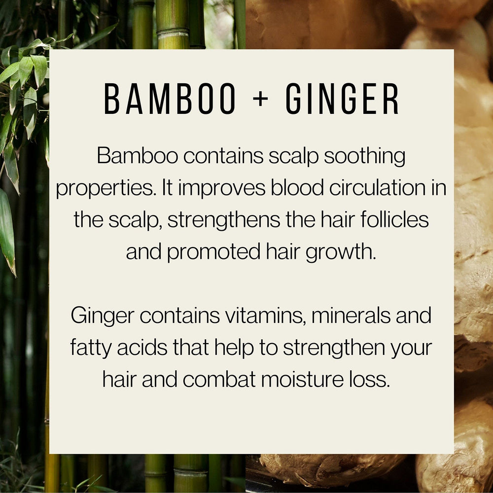 Plantanicals shampoo packaging label shows bamboo extract for revitalized hair.