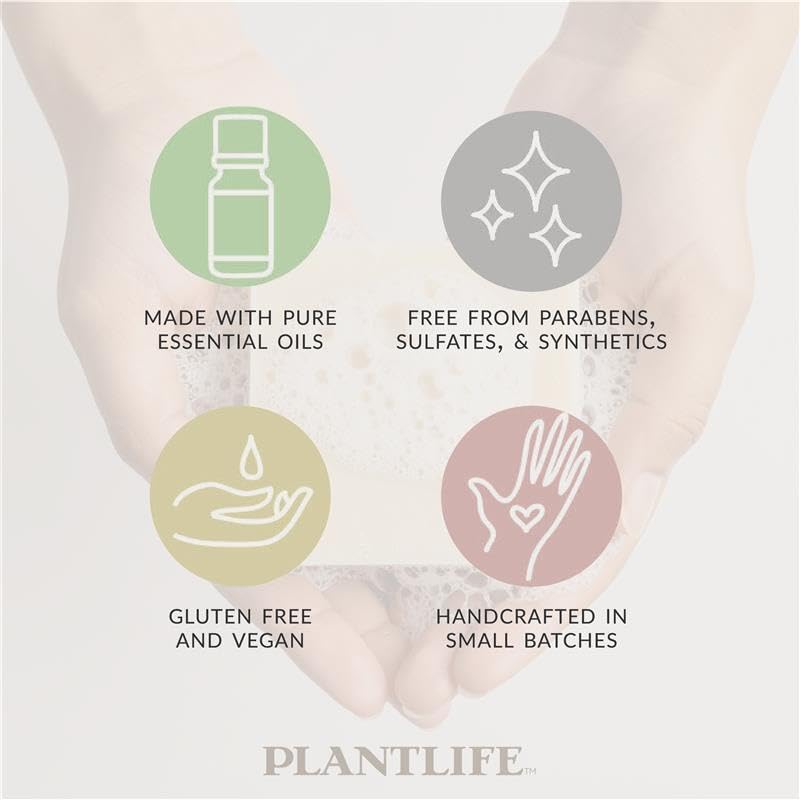 Plantlife Lavender six-pack on display, highlighting hand-crafted quality and spa-ready scent.