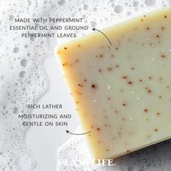 Label showcasing organic botanicals and plant oils in the blend