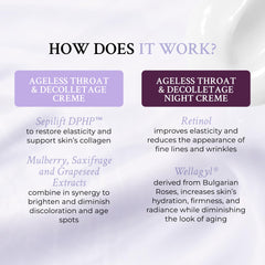 PRAI Ageless Neck Night Cream tube for overnight smoothing.