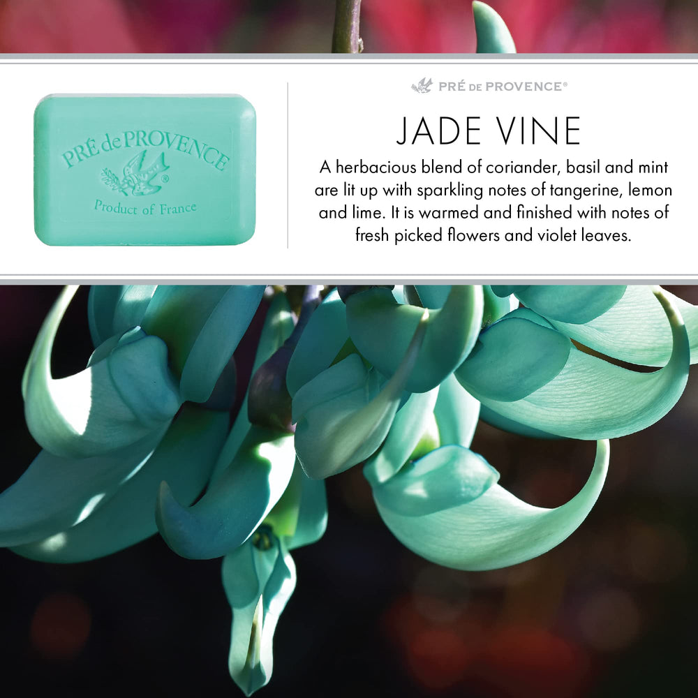 Pre de Provence Jade Vine creamy lather on skin closeup
