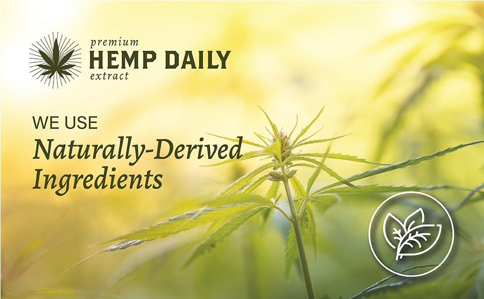 Premium Hemp Extract Daily Earthly Body Intensive Cream pack of three