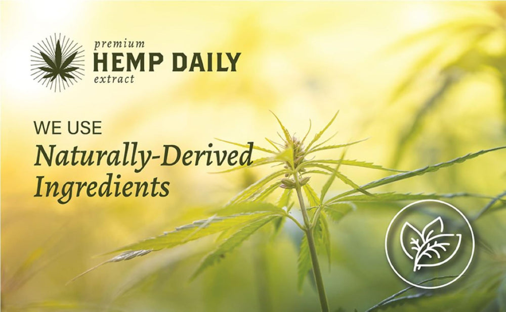 Lavender aroma close-up from Premium Hemp Daily Cream enhances relaxation