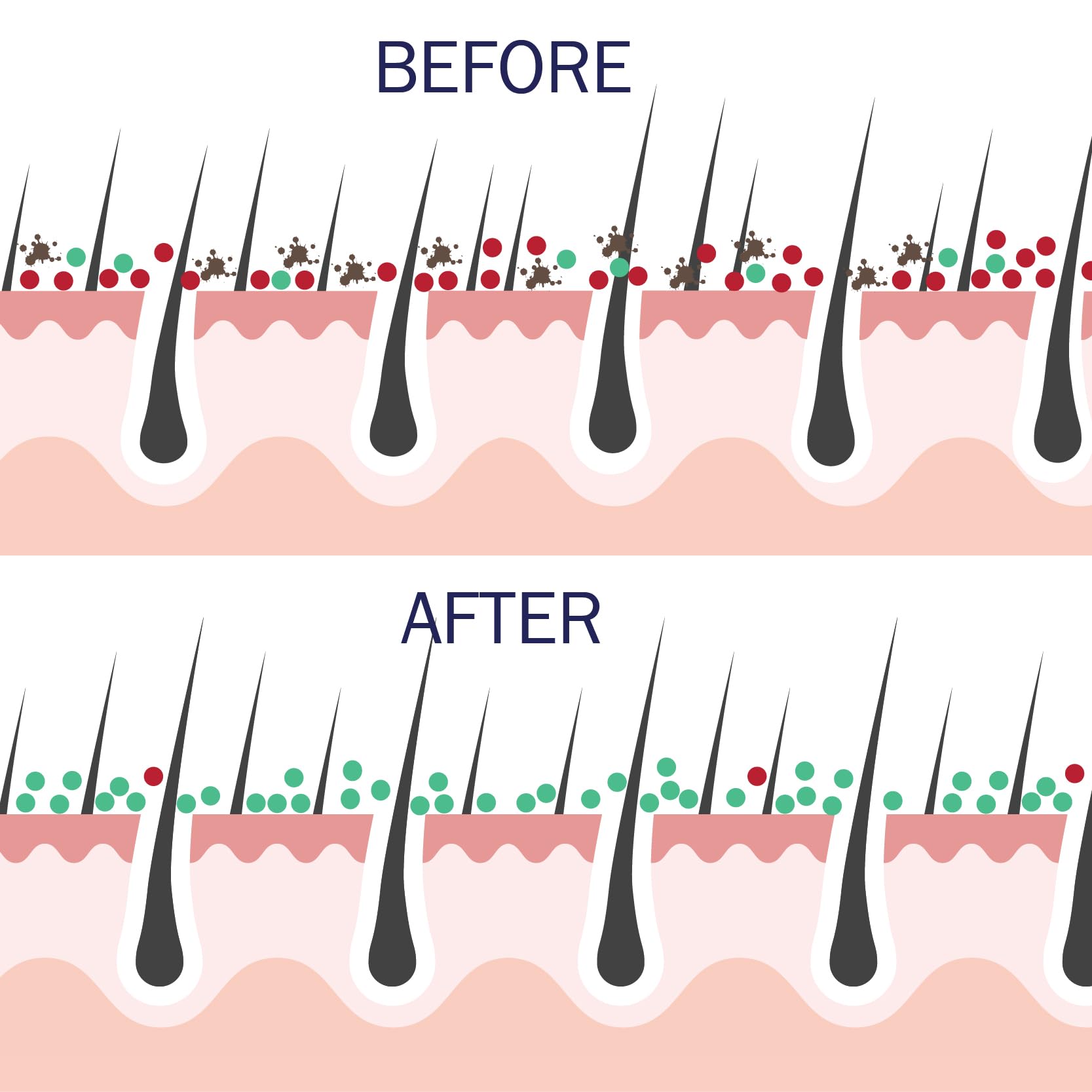 Probiotic Action Clarity in Balance barrier illustration shows strengthened natural defense