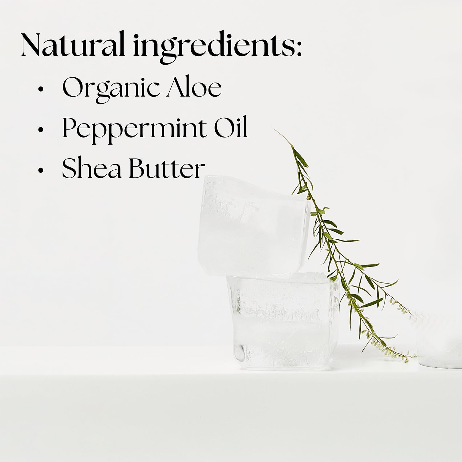 Project Reef peppermint notes emphasize cooling sensation during use.