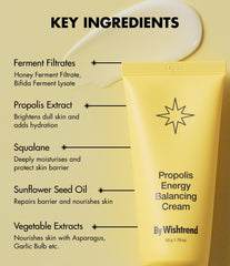 BY WISHTREND Propolis Energy Balancing Cream pump dispense for easy application.