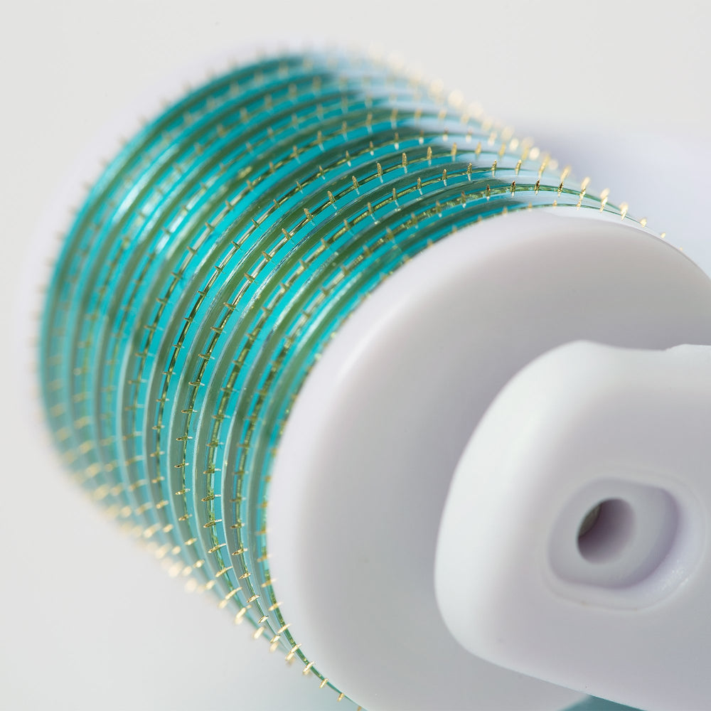 Prosper Beauty Derma Roller storage case keeps components organized and clean