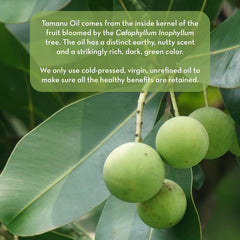 Pure Body Naturals Tamanu Oil night treatment on face highlights deep conditioning while you sleep.