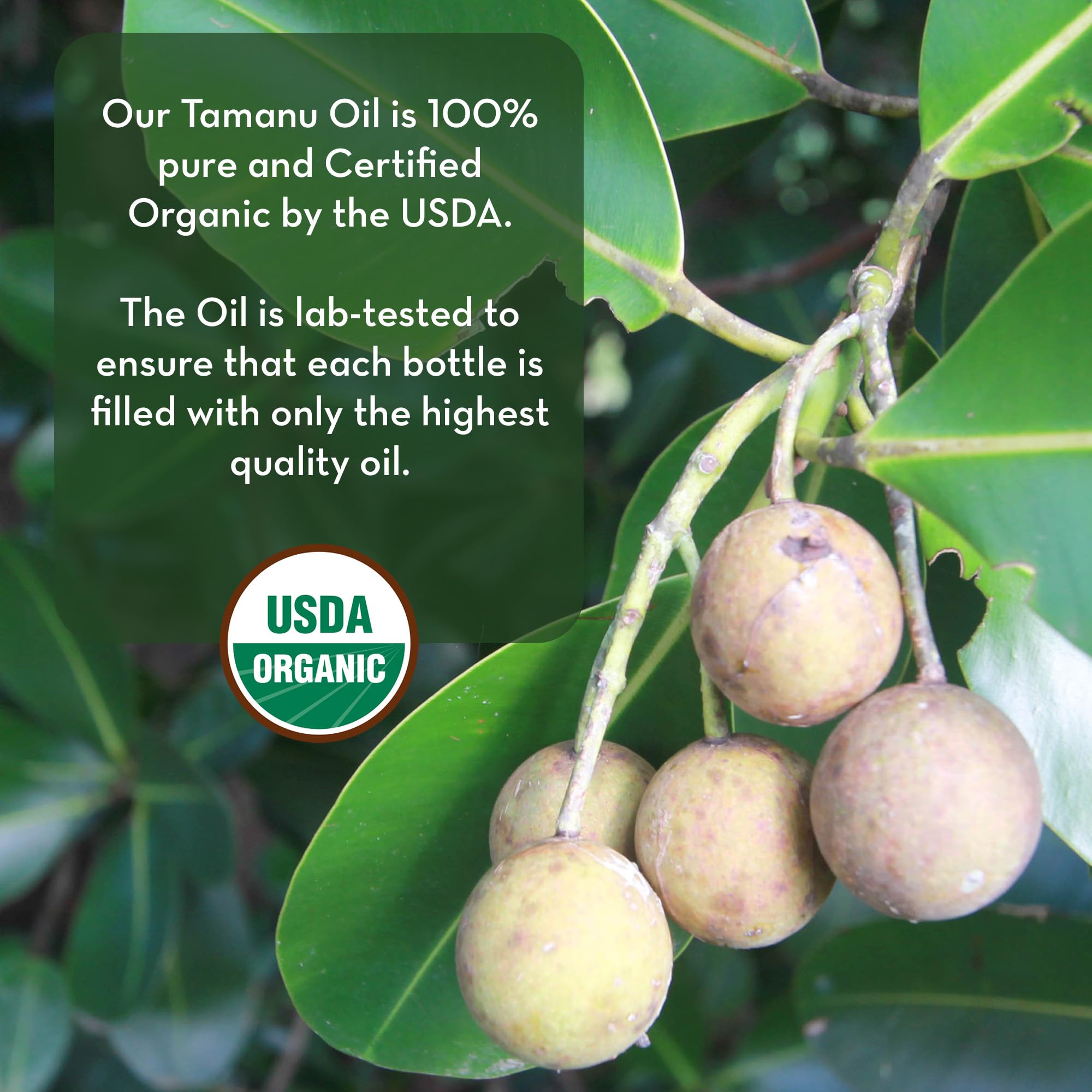 Pure Body Naturals Tamanu Oil skin application demonstrates calming, hydrating action on irritated areas.